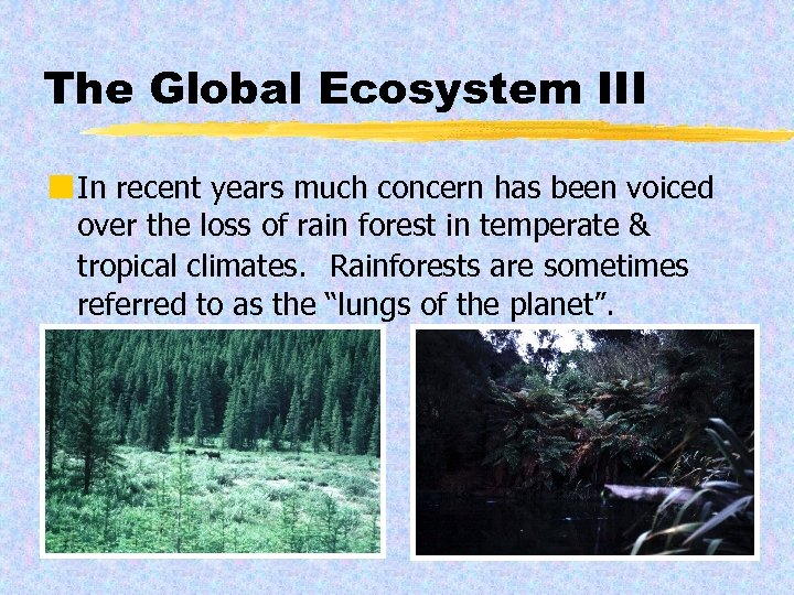 The Global Ecosystem III ¢ In recent years much concern has been voiced over
