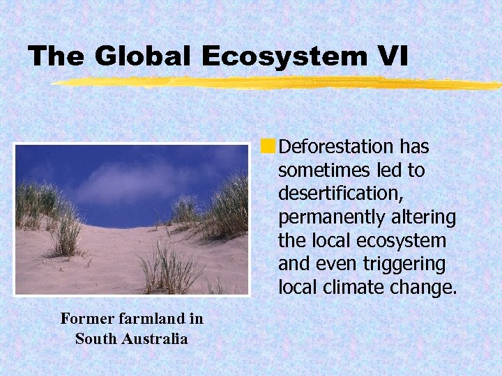 The Global Ecosystem VI ¢ Deforestation has sometimes led to desertification, permanently altering the