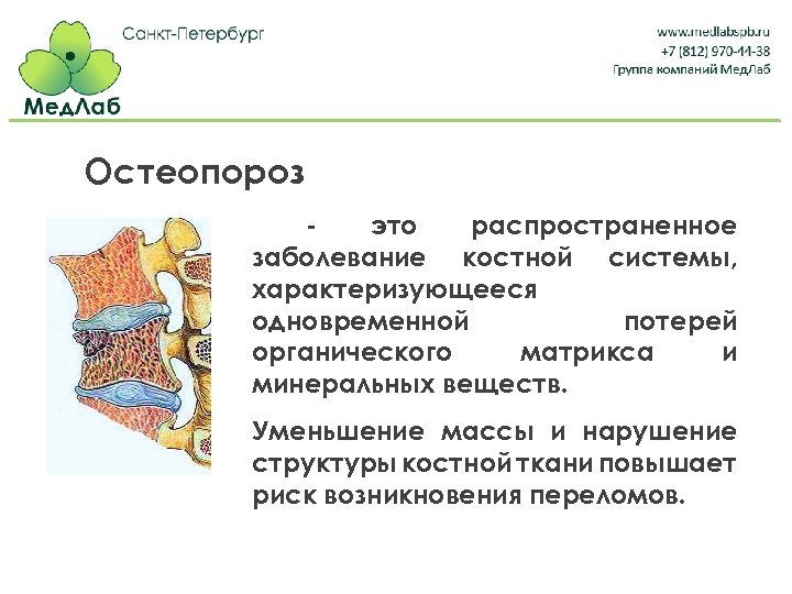 Остеопороз это распространенное заболевание костной системы, характеризующееся одновременной потерей органического матрикса и минеральных веществ.