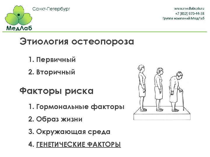 Этиология остеопороза 1. Первичный 2. Вторичный Факторы риска 1. Гормональные факторы 2. Образ жизни