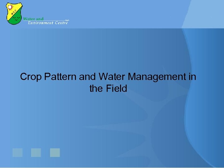 Crop Pattern and Water Management in the Field 