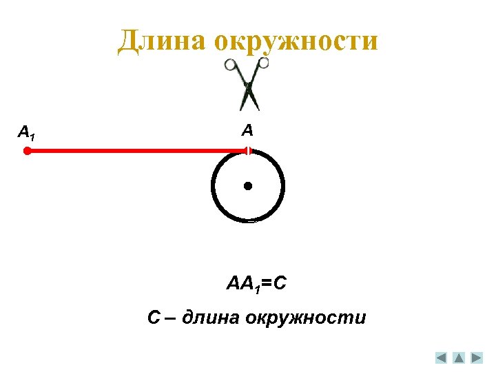 Длина окружности A 1 A AA 1=C C – длина окружности 