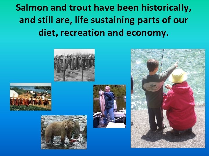 Salmon and trout have been historically, and still are, life sustaining parts of our