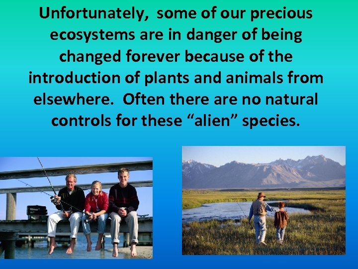 Unfortunately, some of our precious ecosystems are in danger of being changed forever because