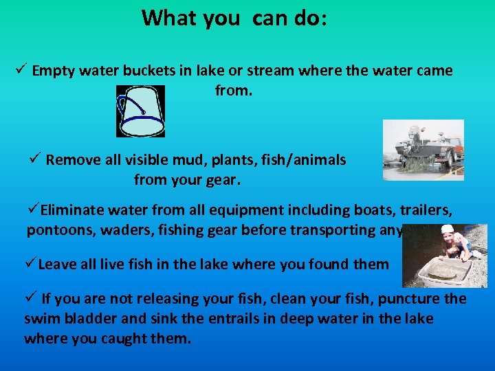 What you can do: ü Empty water buckets in lake or stream where the