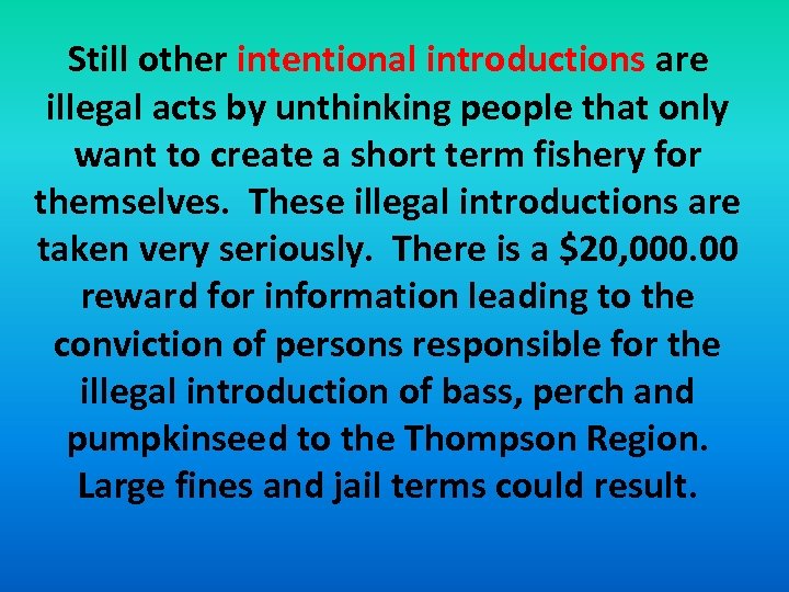 Still other intentional introductions are illegal acts by unthinking people that only want to