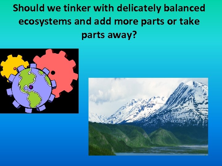 Should we tinker with delicately balanced ecosystems and add more parts or take parts