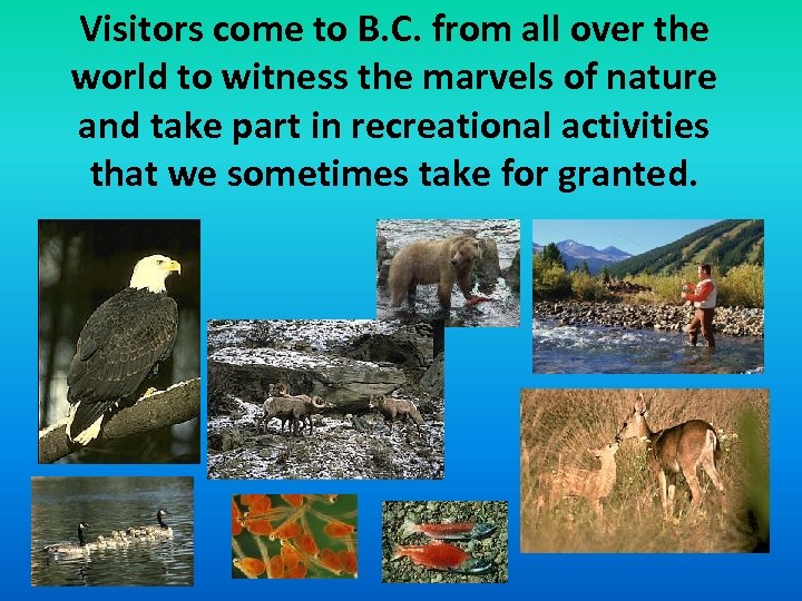 Visitors come to B. C. from all over the world to witness the marvels