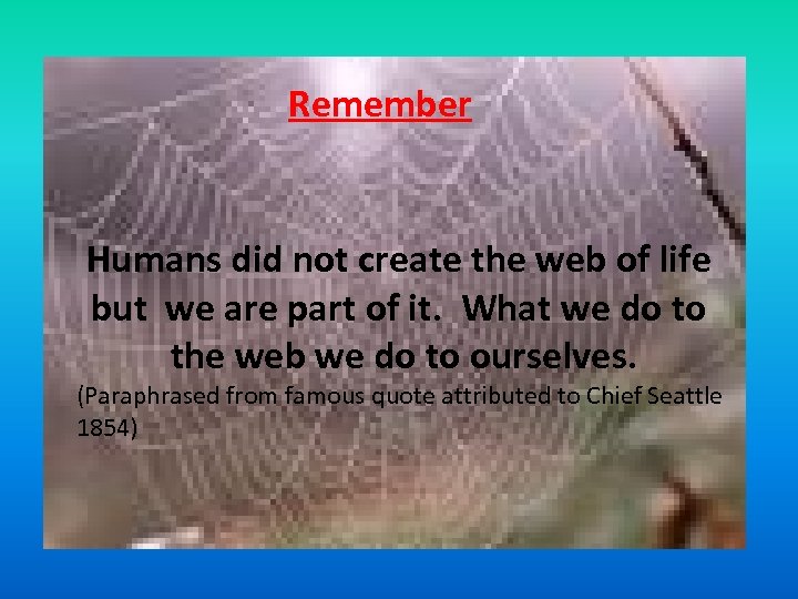 Remember Humans did not create the web of life but we are part of