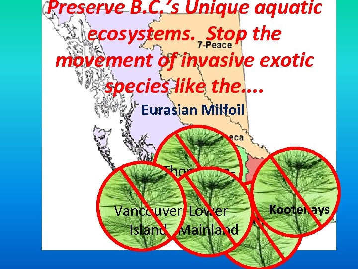 Preserve B. C. ’s Unique aquatic ecosystems. Stop the movement of invasive exotic species