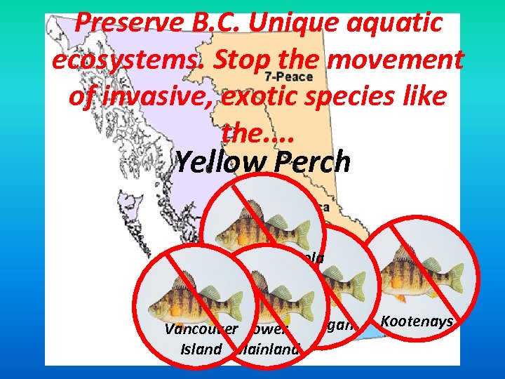 Preserve B. C. Unique aquatic ecosystems. Stop the movement of invasive, exotic species like