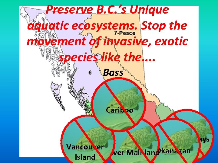 Preserve B. C. ’s Unique aquatic ecosystems. Stop the movement of invasive, exotic species