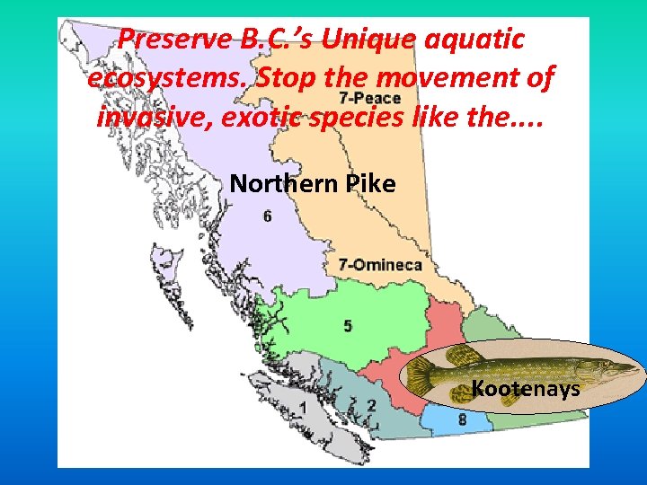 Preserve B. C. ’s Unique aquatic ecosystems. Stop the movement of invasive, exotic species