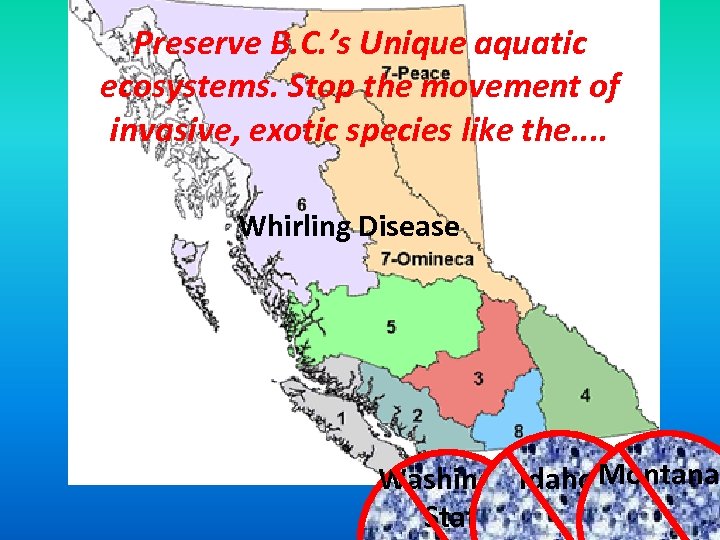 Preserve B. C. ’s Unique aquatic ecosystems. Stop the movement of invasive, exotic species