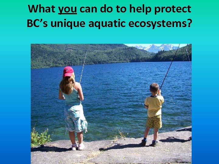 What you can do to help protect BC’s unique aquatic ecosystems? 