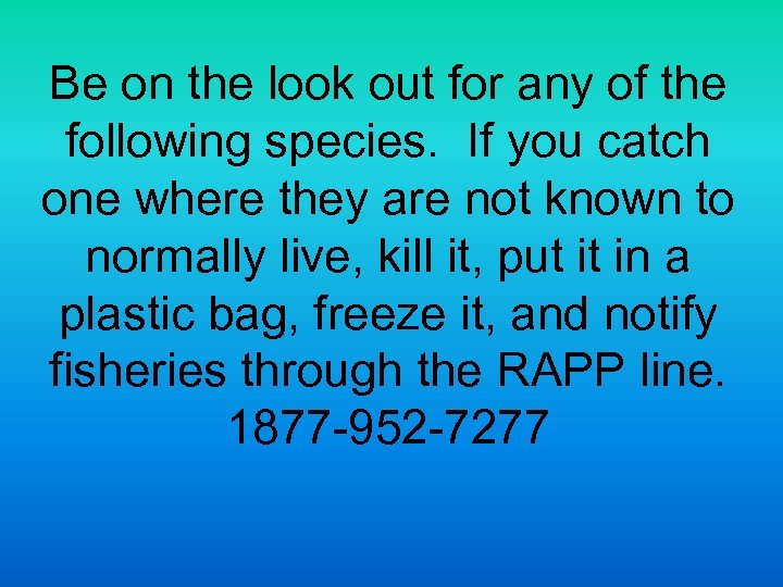 Be on the look out for any of the following species. If you catch