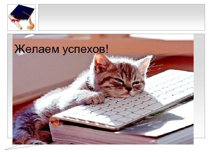 Желаем успехов! 
