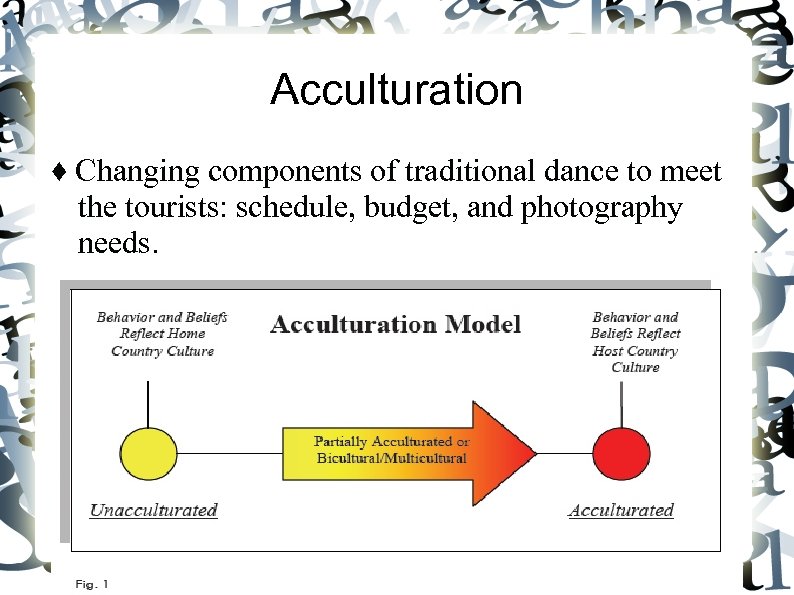 Acculturation ♦ Changing components of traditional dance to meet the tourists: schedule, budget, and