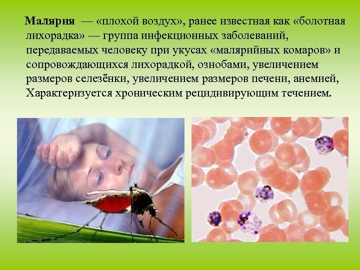 После малярии. Малярийный плазмодий болезнь. Трансмиссивные инфекционные болезни малярия. Малярийный плазмодий вызывает заболевание. Малярийный плазмодий профилактика заболевания.