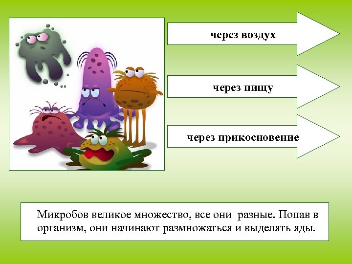 через воздух через пищу через прикосновение Микробов великое множество, все они разные. Попав в