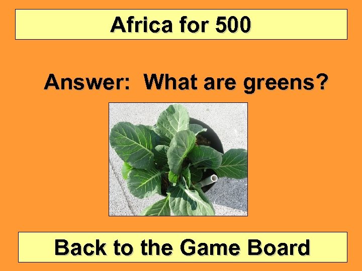 Africa for 500 Answer: What are greens? Back to the Game Board 