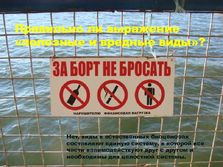 Правильно ли выражение «полезные и вредные виды» ? Нет, виды в естественных биоценозах составляют