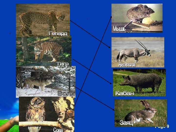 . , Free Powerpoint Templates Page 9 