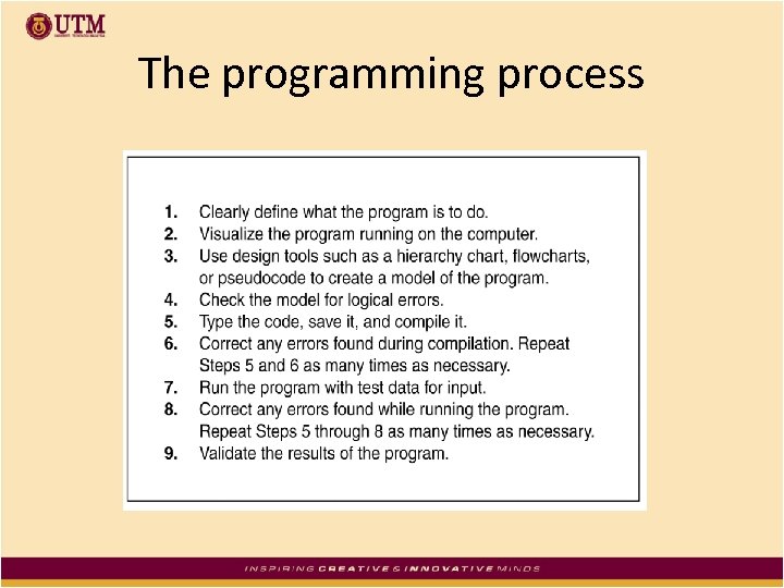 The programming process 