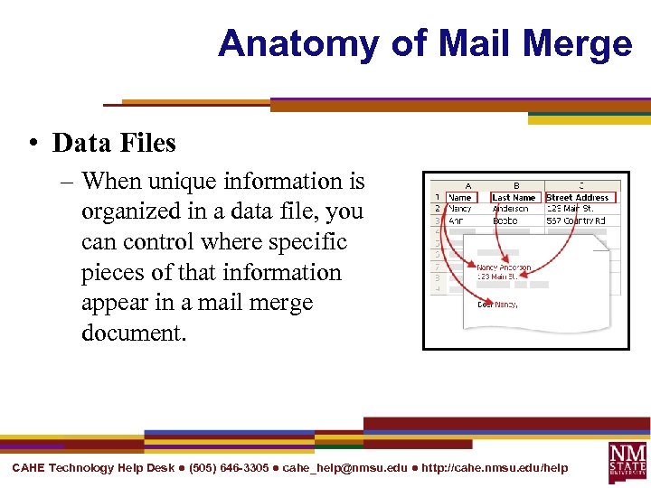 Anatomy of Mail Merge • Data Files – When unique information is organized in
