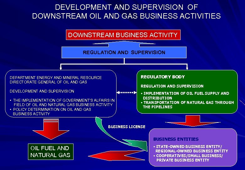 DEVELOPMENT AND SUPERVISION OF DOWNSTREAM OIL AND GAS BUSINESS ACTIVITIES DOWNSTREAM BUSINESS ACTIVITY REGULATION
