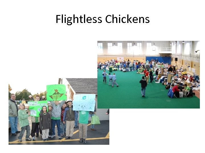 Flightless Chickens 