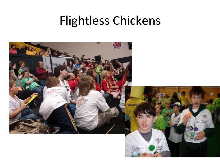 Flightless Chickens 