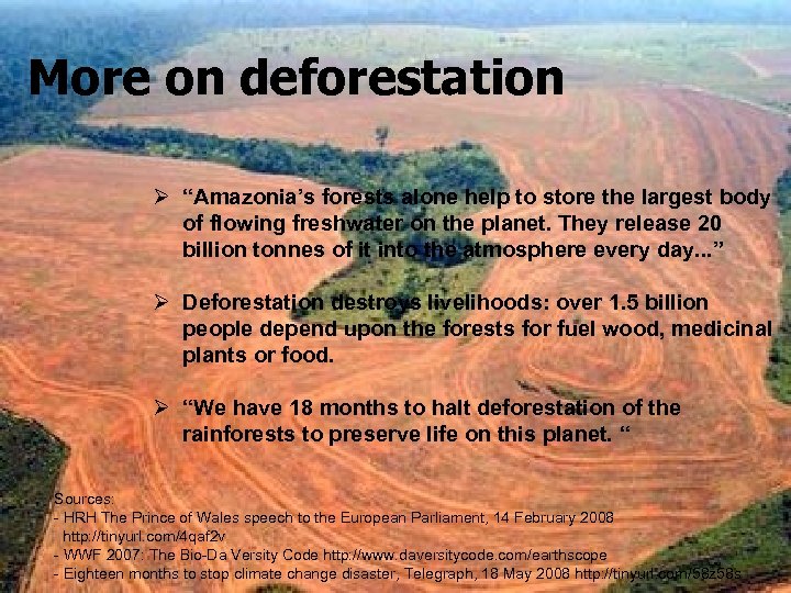 More on deforestation Ø “Amazonia’s forests alone help to store the largest body of