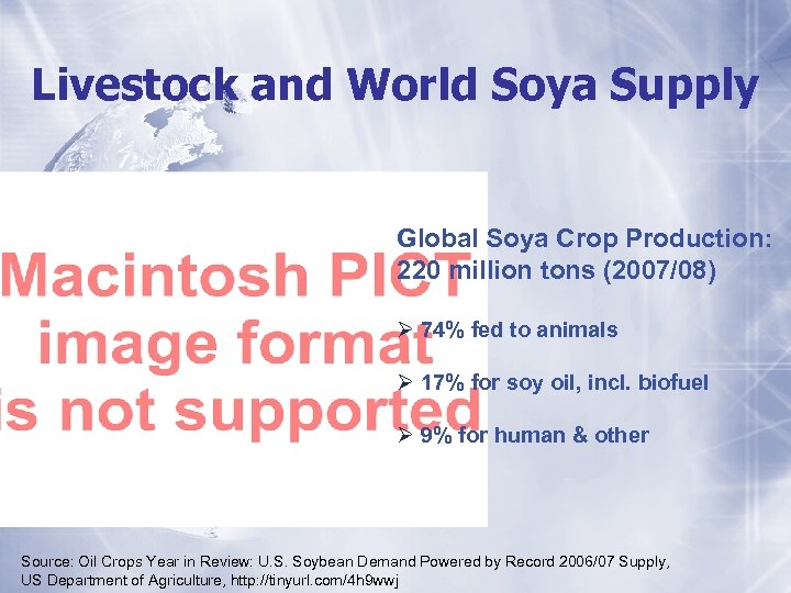 Livestock and World Soya Supply Global Soya Crop Production: 220 million tons (2007/08) Ø