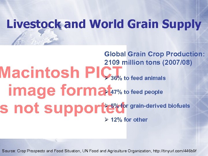 Livestock and World Grain Supply Global Grain Crop Production: 2109 million tons (2007/08) Ø