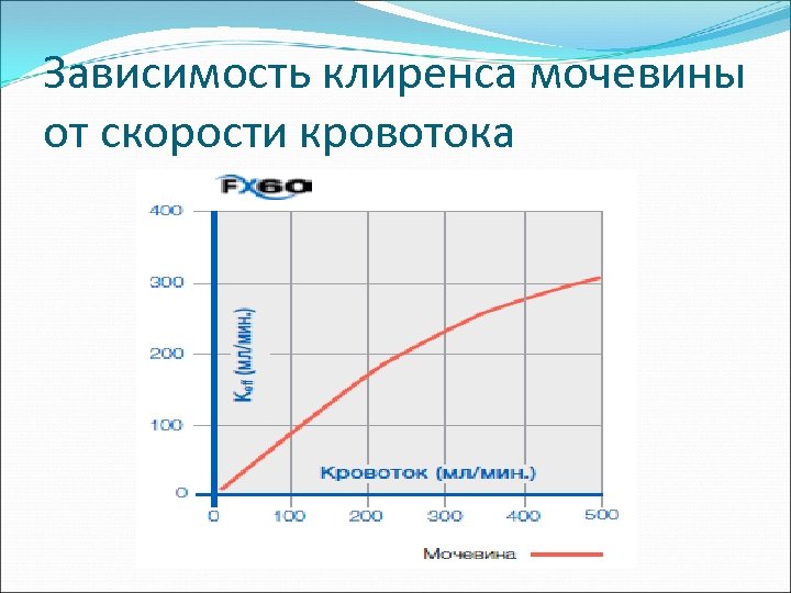 Зависимость клиренса мочевины от скорости кровотока 
