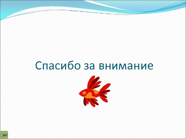 Спасибо за внимание 