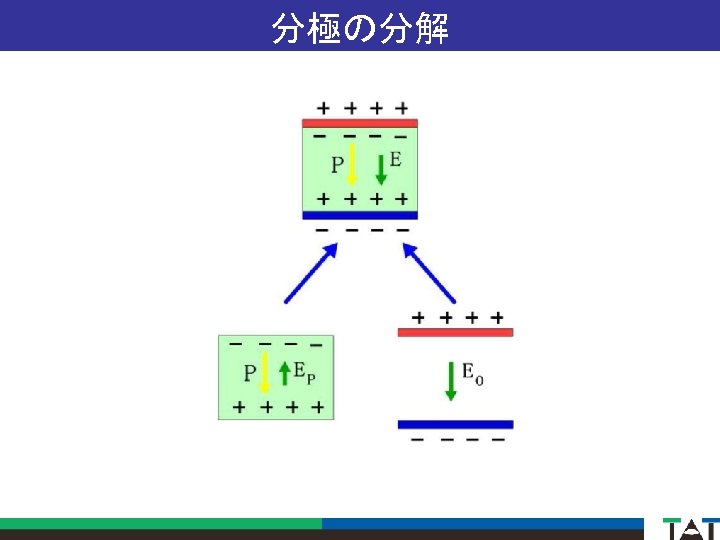 分極の分解 