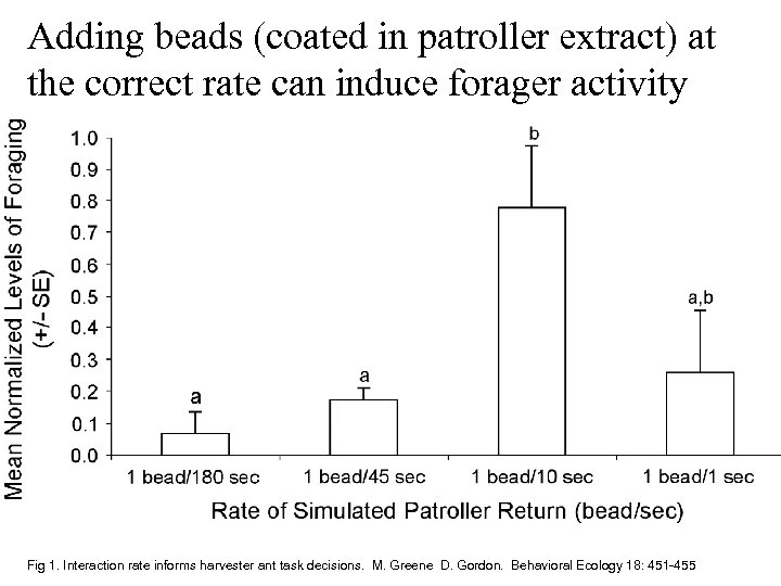 Adding beads (coated in patroller extract) at the correct rate can induce forager activity