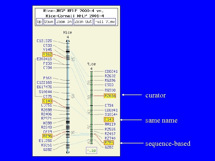 curator same name sequence-based 