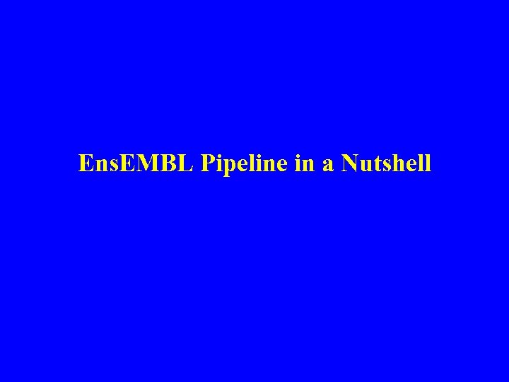 Ens. EMBL Pipeline in a Nutshell 