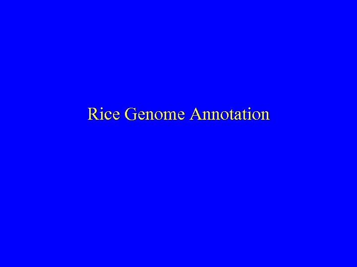 Rice Genome Annotation 