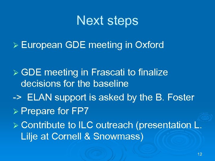 Next steps Ø European GDE meeting in Oxford Ø GDE meeting in Frascati to