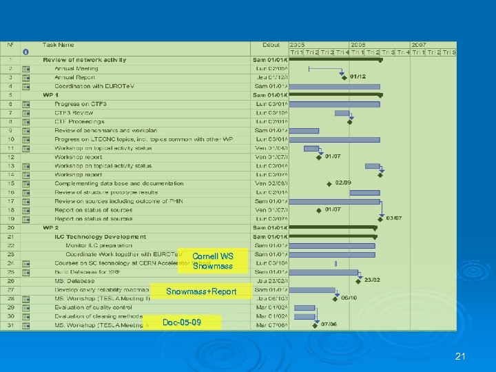 Cornell WS Snowmass+Report Doc-05 -09 21 