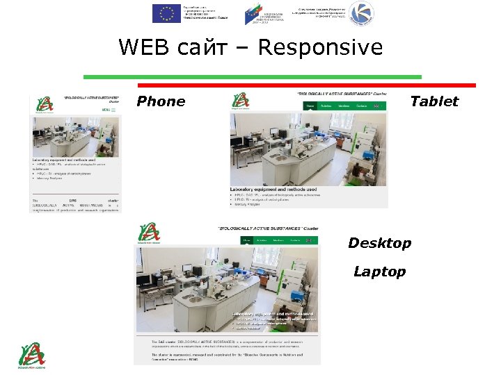 WEB сайт – Responsive Phone Tablet Desktop Laptop 