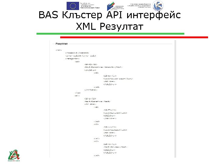 BAS Клъстер API интерфейс XML Резултат 