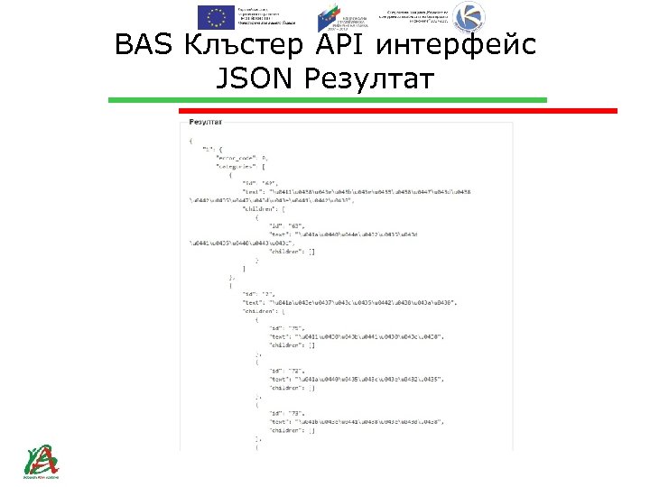 BAS Клъстер API интерфейс JSON Резултат 