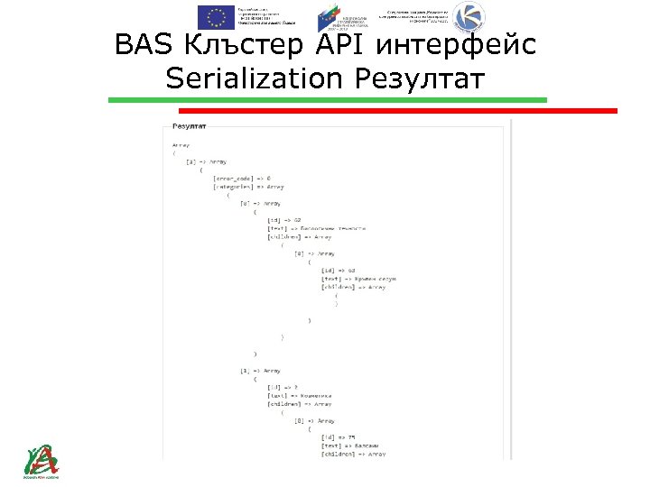 BAS Клъстер API интерфейс Serialization Резултат 