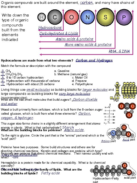 Organic compounds are built around the element, carbon, and many have chains of this