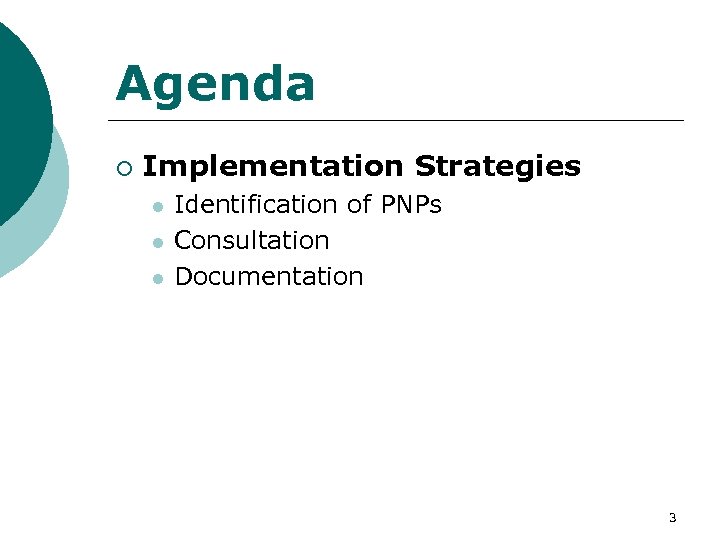 Agenda ¡ Implementation Strategies l l l Identification of PNPs Consultation Documentation 3 